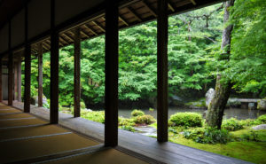 蓮華寺 - 話題